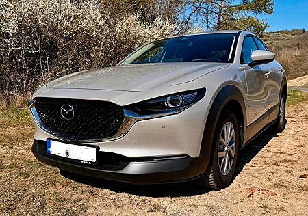 Mazda CX-30 e-SKYACTIV-G 140 Exclusive-line AHK/8fach