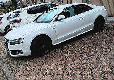 Audi A5 3.0 TDI (DPF) tiptronic quattro -