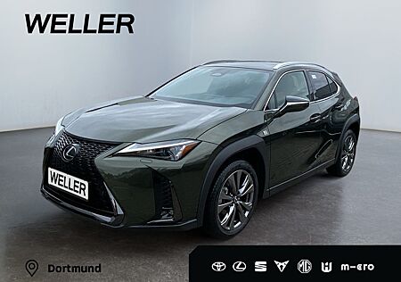 Lexus UX 300h F SPORT Design, Cloud Navi, LED, CarPlay