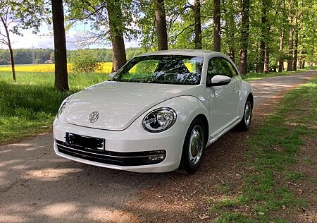 VW Beetle Volkswagen 1.2 TSI DSG -