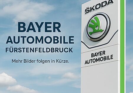 Skoda Enyaq iV 60 Loft Olibo Grün