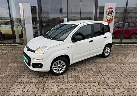 Fiat Panda 1.2 Easy Sondermodell More - Viele Extras
