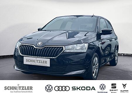 Skoda Fabia 1.0 MPI Active KLIMA/DAB/SHZ/BL/ZV+++