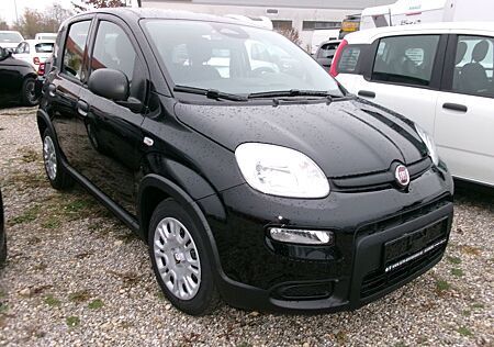 Fiat Panda MY24