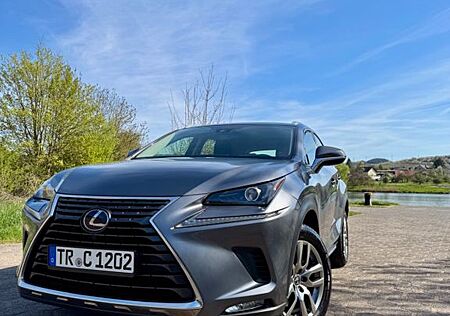 Lexus NX 300 300h - Hybrid Business line