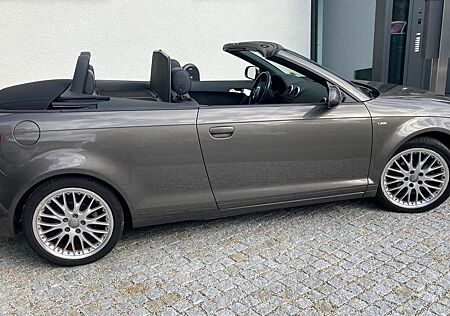 Audi A3 1.6 TDI S line Cabriolet TOPZUSTAND