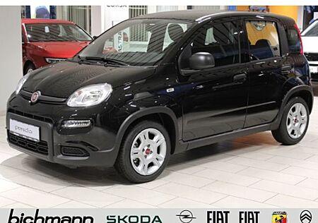 Fiat Panda Hybrid 1.0 Klima DAB BT USB Freisprech Bei