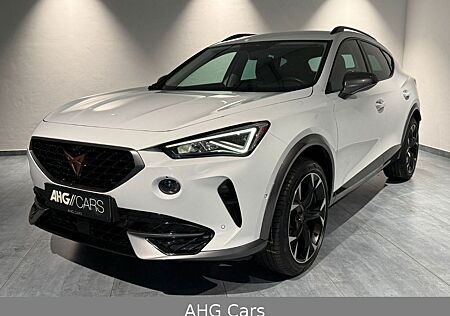 Cupra Formentor 4Drive 2.0 TDI DSG*LED*NAV*STANDHEIZ.*