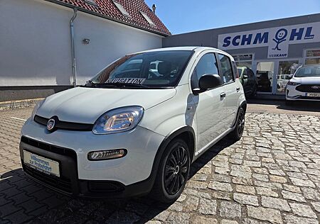 Fiat Panda Base NAVI Klima Sommer.-u. Winterräder
