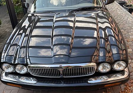 Jaguar XJ8