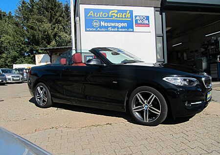 BMW 218 Cabrio i Sitzheizung Leder sehr Gepflegt