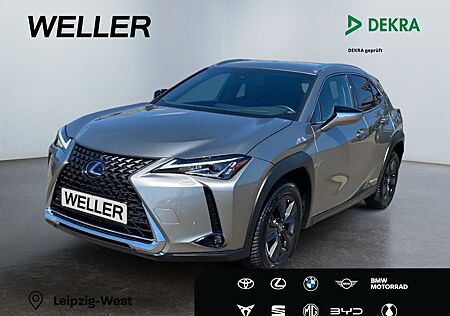 Lexus UX 250h Amazing Edition *Bi-LED*ACC*CAM*CarPlay*