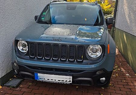 Jeep Renegade 2.0 MultiJet 125kW D Trailhawk 4x4 ...