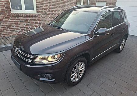 VW Tiguan Volkswagen 2.0 TDI SCR 135 DSG 4M BMT LOU. Tra &...