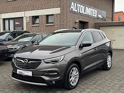 Opel Grandland X/Kamera/Leder/Neuer TÜV