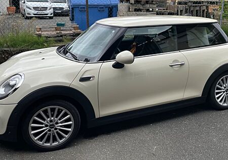 Mini Cooper Seven Chili