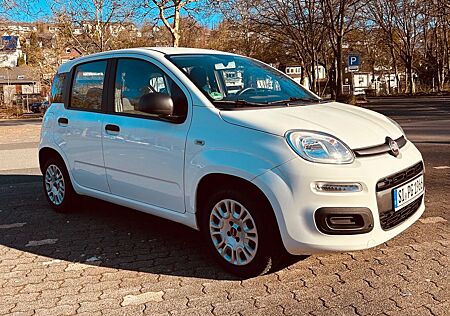 Fiat New Panda 1.2 8V EASY EASY