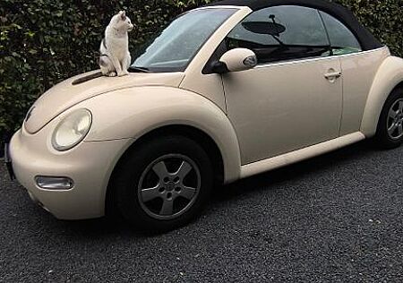 VW Beetle Volkswagen