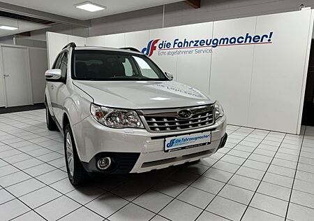 Subaru Forester Comfort