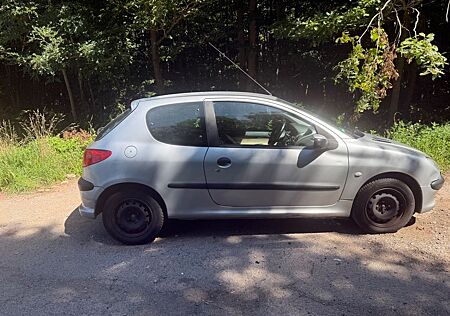 Peugeot 206 1.1 2. Hand ZKD defekt