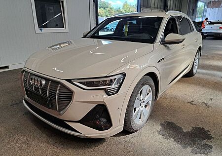 Audi e-tron 55 quattro S line Standhz Hifi