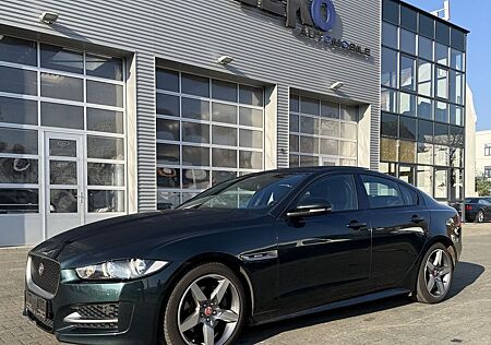 Jaguar XE R-Sport Pano/ Navi/ Kamera/ 8 Fach bereift