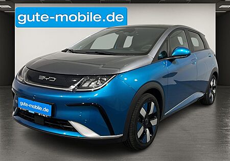 BYD DOLPHIN Ocean Aesthetics | SHZ | PANO | 360°