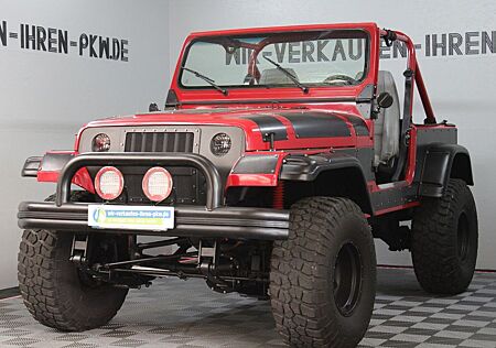 Jeep Wrangler YJ 4.2 LPG-H Zulassung-Hardtop-Türen-