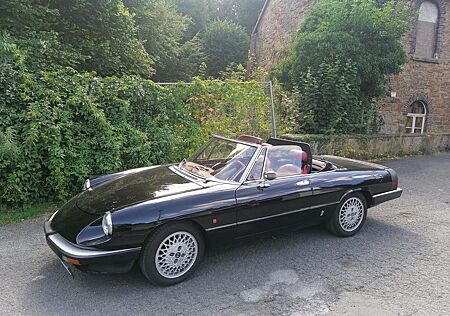 Alfa Romeo Spider 1.6 H-Kennzeichen