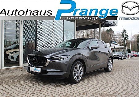 Mazda CX-30 M-Hybrid G-140 AT Takumi Allwetter Leder e