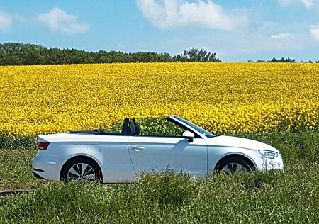 Audi Cabriolet
