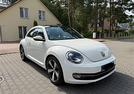 VW New Beetle Volkswagen