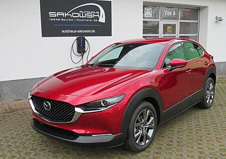 Mazda CX-30 AUT. X NAVI MATRIX LED BOSE HEAD UP 360° K