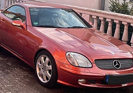 Mercedes-Benz SLK 320 -Designio Orange, Rarität