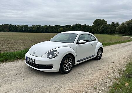 VW Beetle Volkswagen 1.2 TSI | TÜV 05/27 | Steuerkette neu