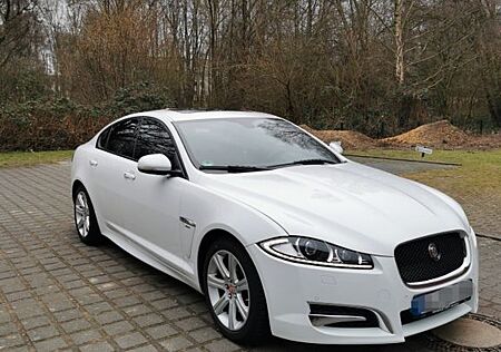 Jaguar XF 3.0 L V6 Diesel -