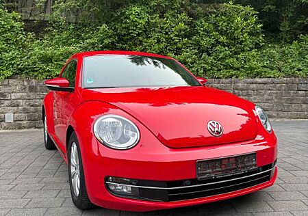 VW Beetle Volkswagen 2.0 TDI DSG | Automatik | 1. H