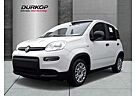 Fiat Panda 1.0 GSE DAB-Radio Klima ZV el. Fenster