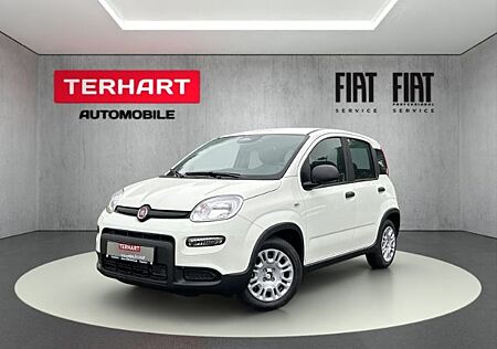 Fiat Panda 1.0 Mild Hybrid/PDC/Start&Stopp/Nebelschei