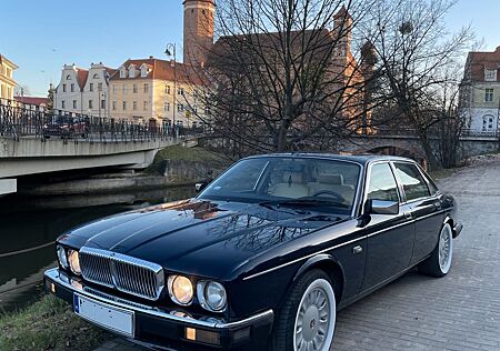 Jaguar XJ40 Daimler 3.6