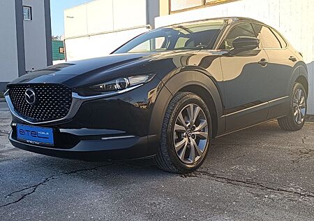 Mazda CX-30 Selection 2WD Navi Kamera 360 SHZ LHZ Bose