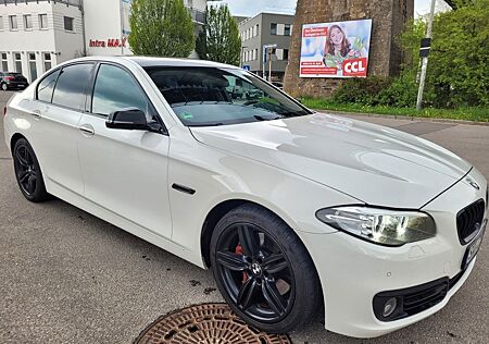 BMW 525d Standheizung Headup Kamera