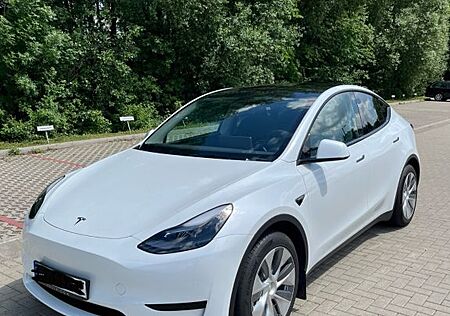 Tesla Model Y RWD | 2023 | 34.000 km |