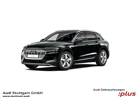 Audi e-tron 55 quattro advanced Keyless virtCo Kamera