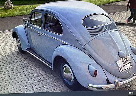 VW Käfer Volkswagen
