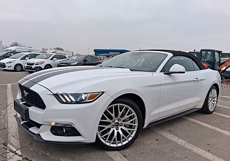 Ford Mustang Basis Convertible