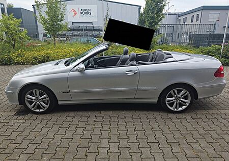 Mercedes-Benz 320 Clk CDI Cabrio Tüv august 2025