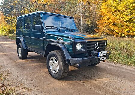 Mercedes-Benz G 300 G-Klasse W463 300TD OM606