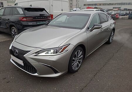 Lexus ES 300 ES 300h Luxury Line Matrix+Leder+S-Dach+Mem+360°
