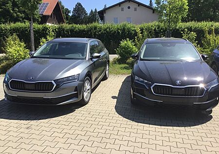Skoda Octavia Combi 2.0 TDI DSG Selection AHK schwenkb